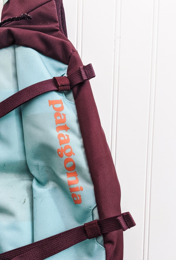 Patagonia Atom 8L Sling